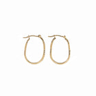 Hoop Diamond Cut Earrings - Oblong in Brushed 14K Yellow Gold