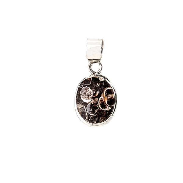 Turritelle Jasper Pendant set in Sterling Silver